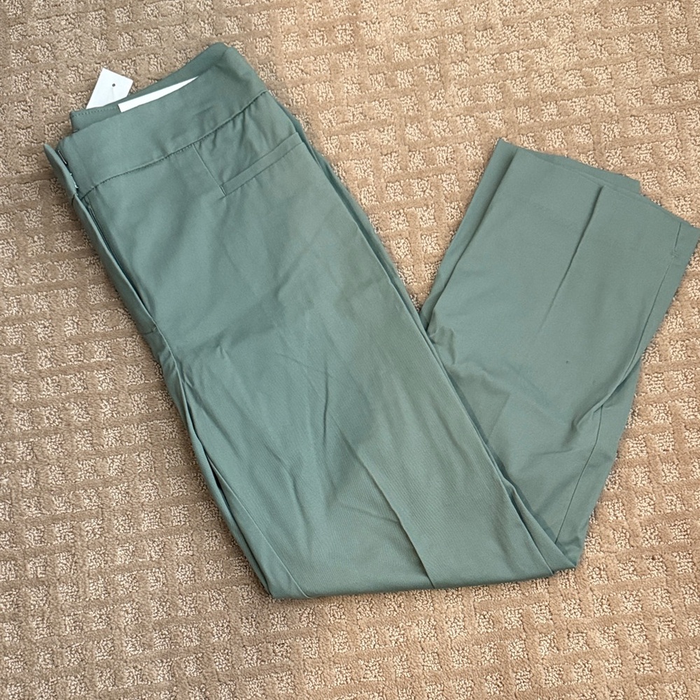 Ann Taylor Factory Women's Cropped Pants in Sage Green
